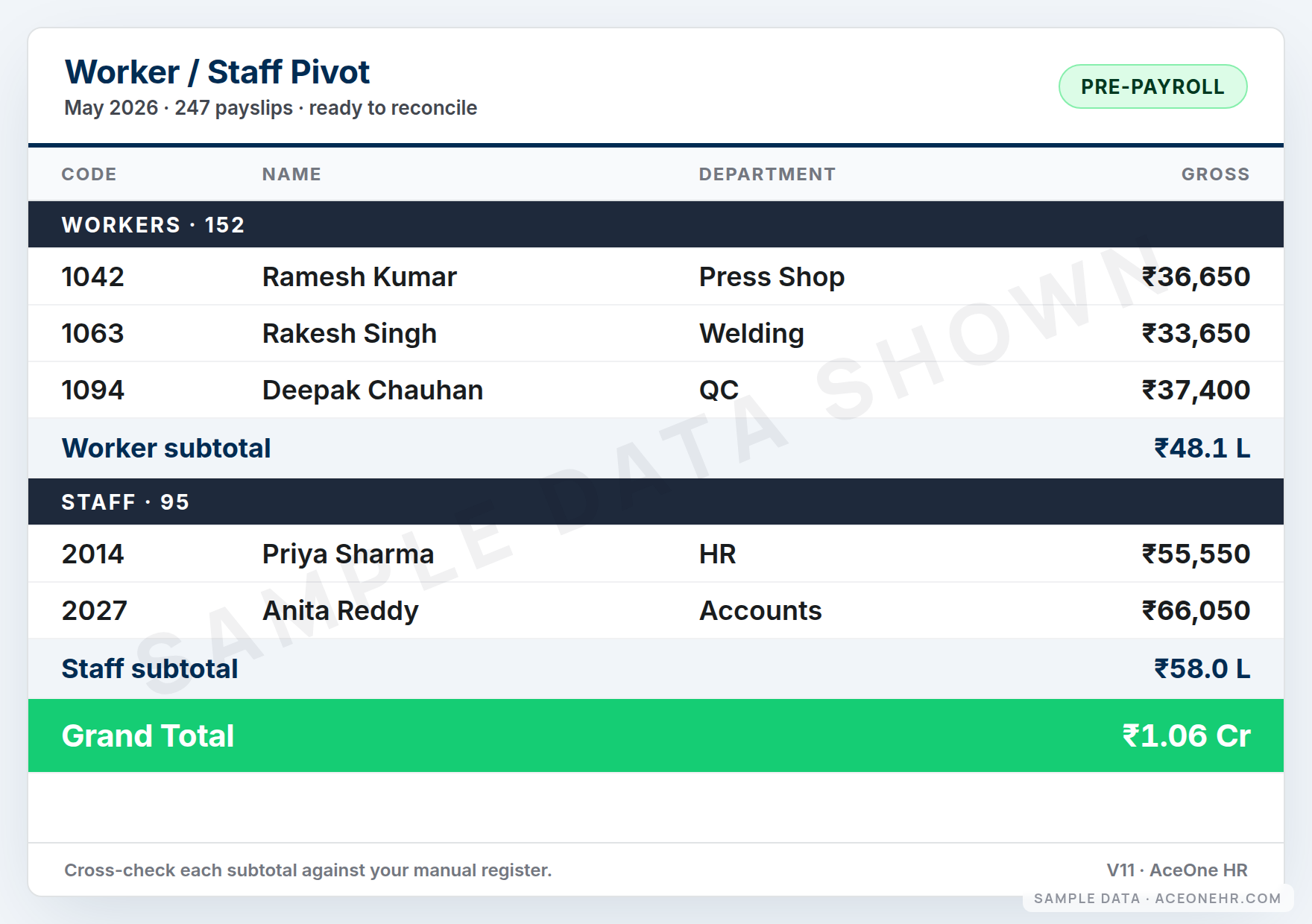 AceOne HR V11 Worker / Staff earnings pivot — sample data